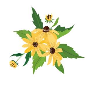 pngtree-beautiful-yellow-flower-bouquet-arnica-vector-png-image_13018607