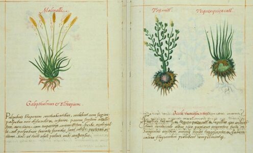 Capítulo III: Del México independiente a la revolución- Entre resistencia popular y modernización forzada.