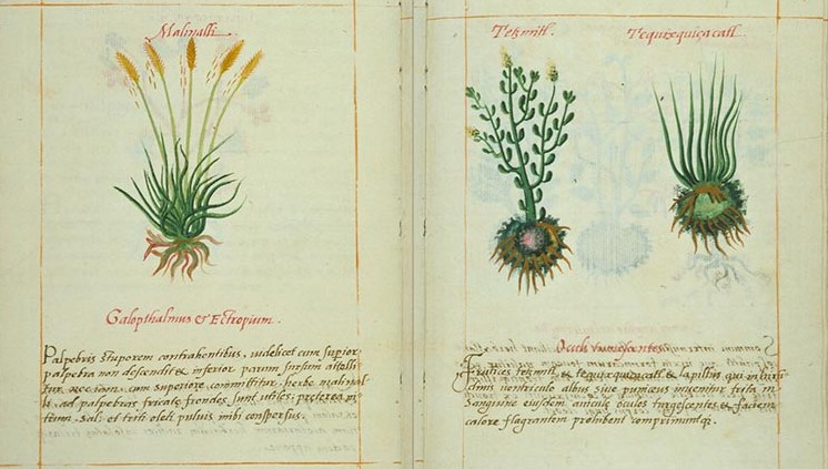 Capítulo III: Del México independiente a la revolución- Entre resistencia popular y modernización forzada.