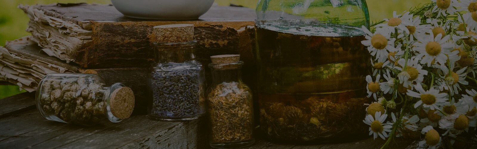 La ciencia detrás de la herbolaria