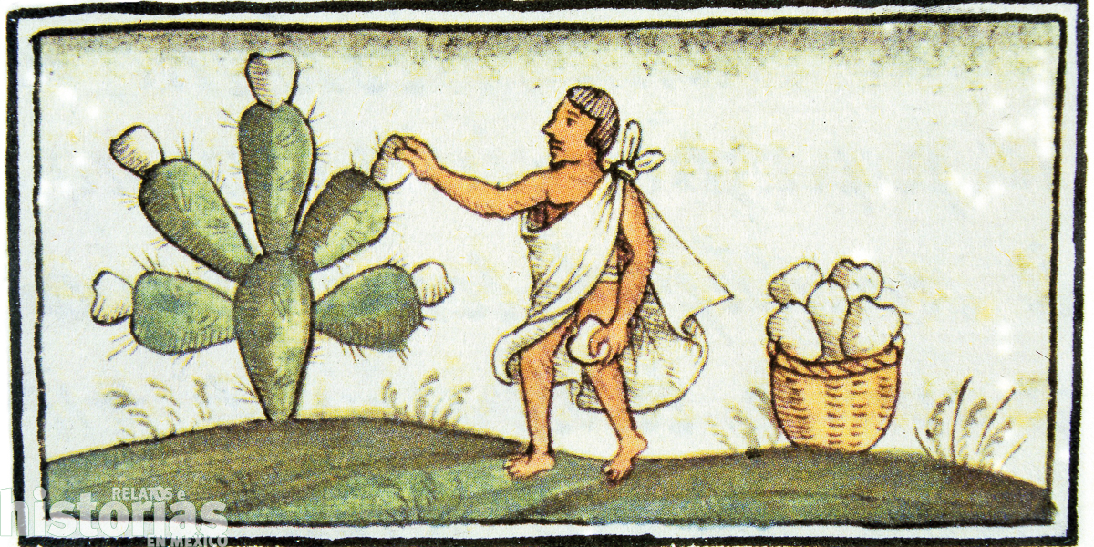 Capítulo II: Herbolaria en la época colonial y virreinal.