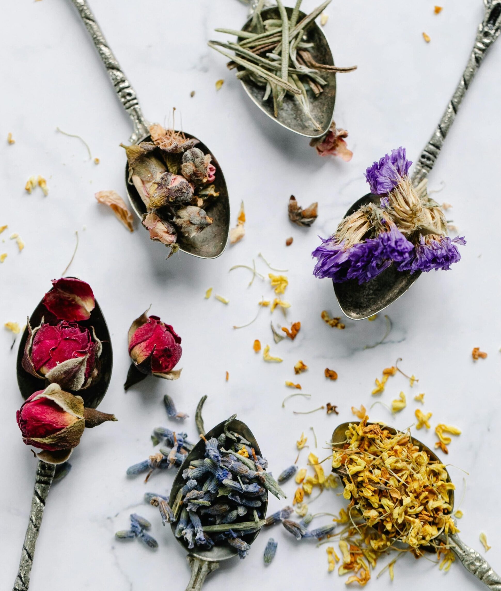 pexels-anna-pou-8330351 (1)