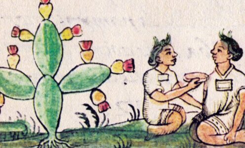 Introducción: Historia de la Herbolaria en México