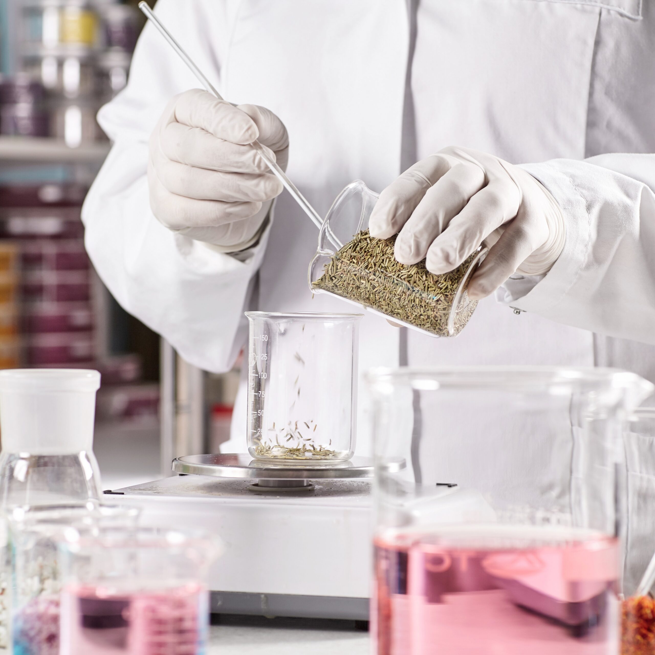 Equipped doctor making dermatology products in laboratory. Researcher wearing white gown and gloves putting samples of herbs in jar on scales while working on new formula of herbal organic goods