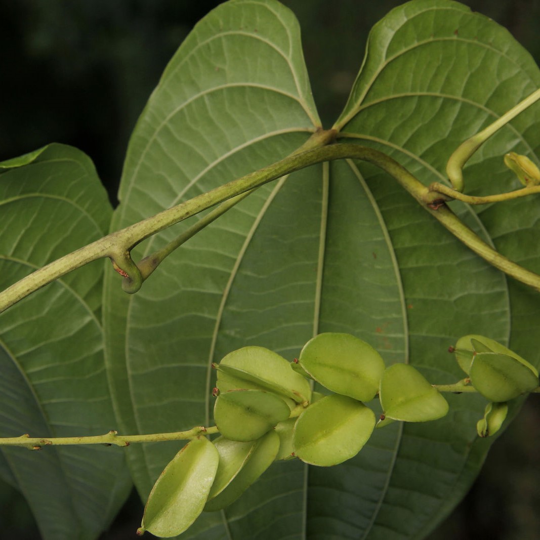 74096ce23e07fe55b25b981b75dc0d59