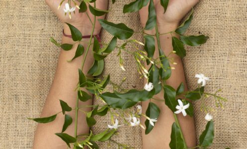 Introducción: plantas que cambiaron la historia