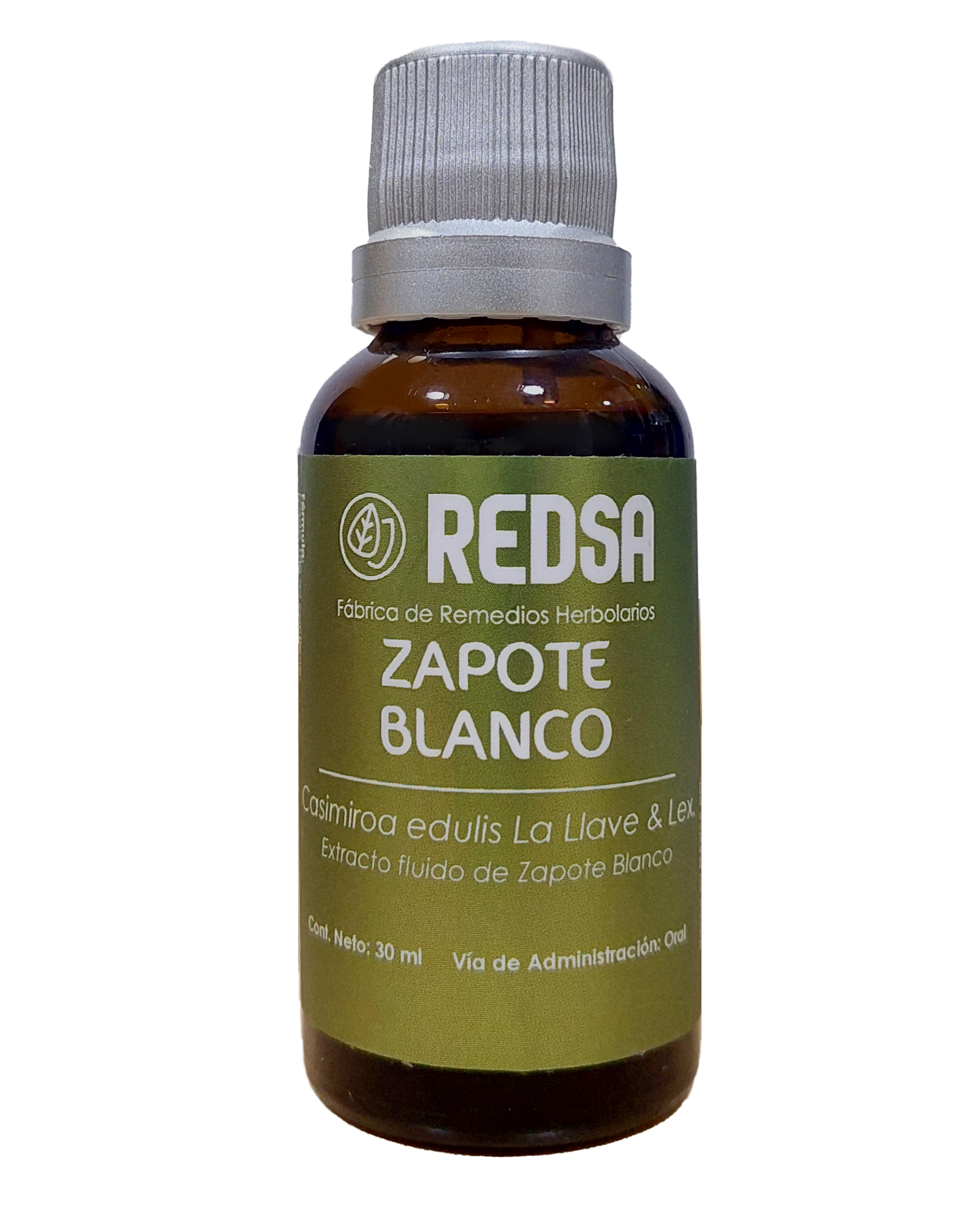 ZapoteBlanco1